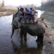 CNP-elephant-ride.jpg